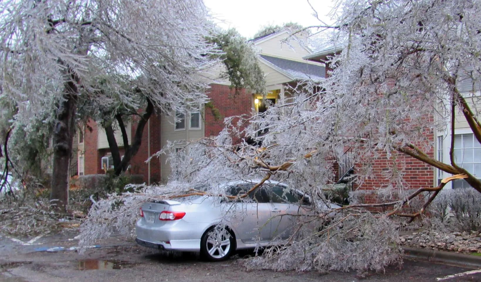 Ice-coated tree limbs broken and draped over a parked car in front of a home after an ice storm
