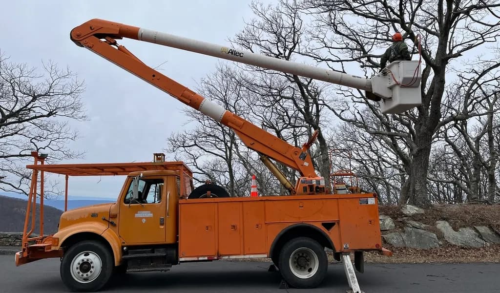 A bucket truck with outriggers down and a worker in a hard hat in the bucket, pruning a large bare tree in winter