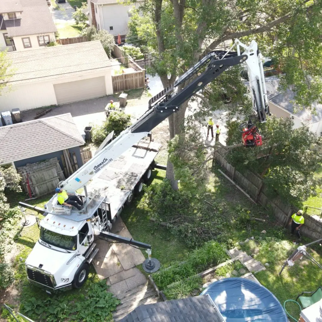 Crane lifting a large limb safely over a backyard