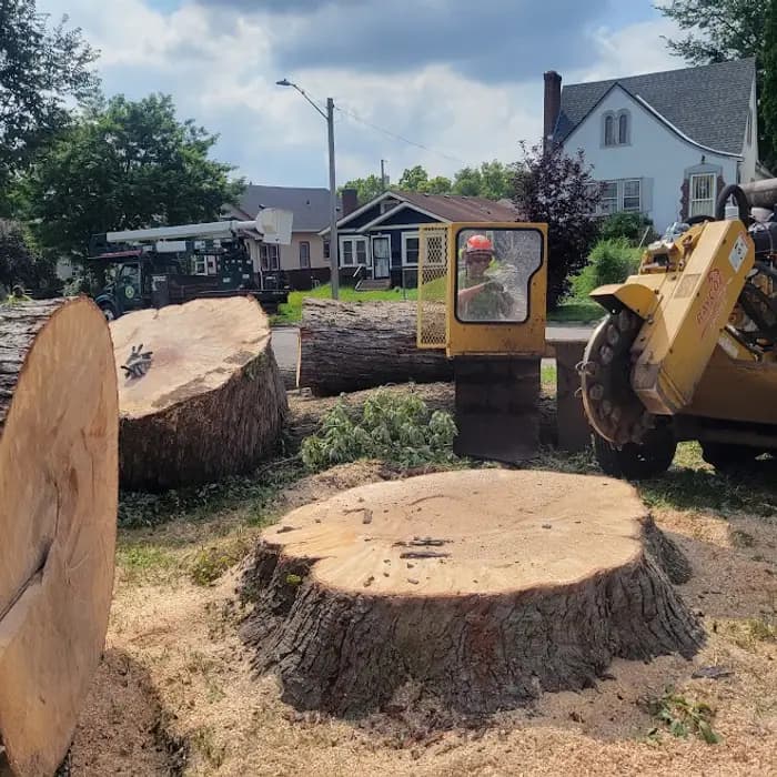 Grinding out a large stump after a tree removal