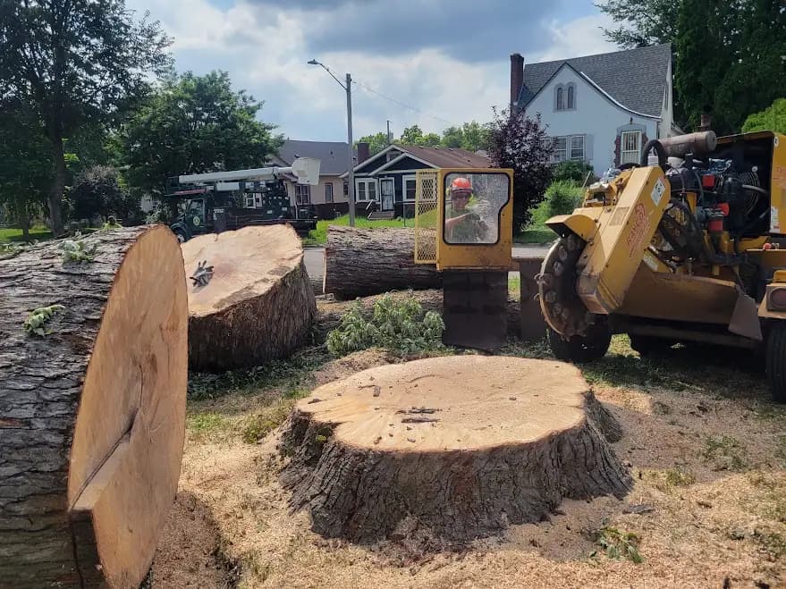 A Tree Service crew grinding a large stump below grade in the Twin Cities